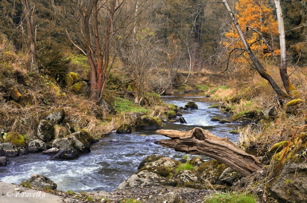 Naučná stezka Balinského  údolí