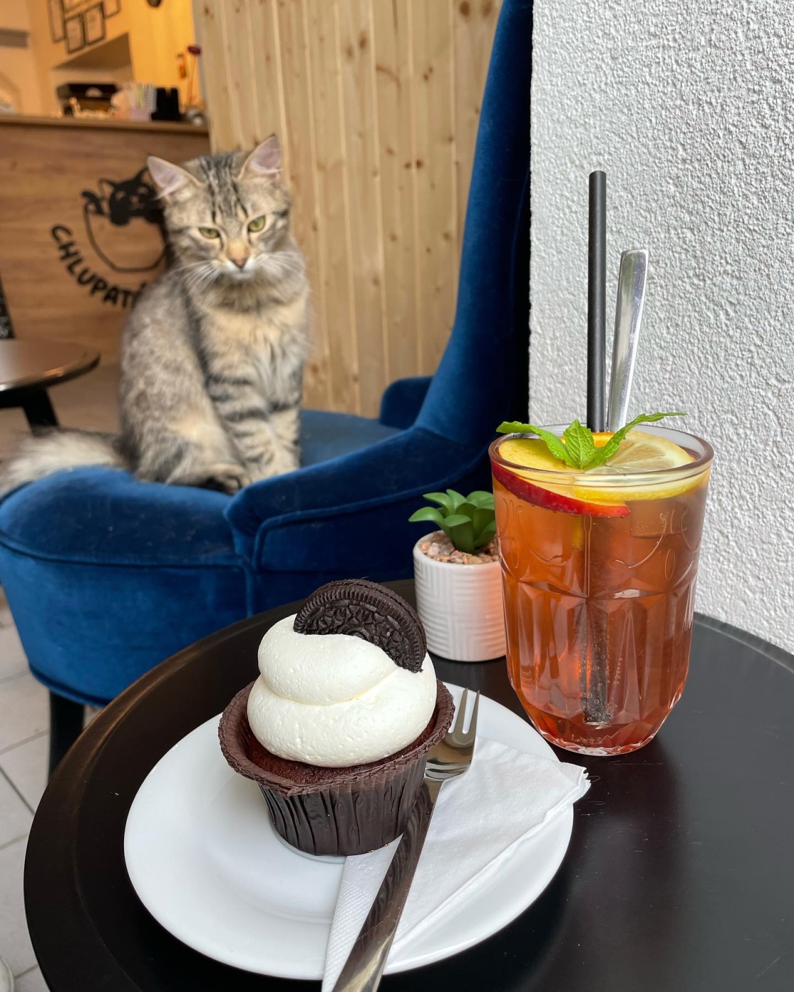 Chlupatá kavárna Třebíč 